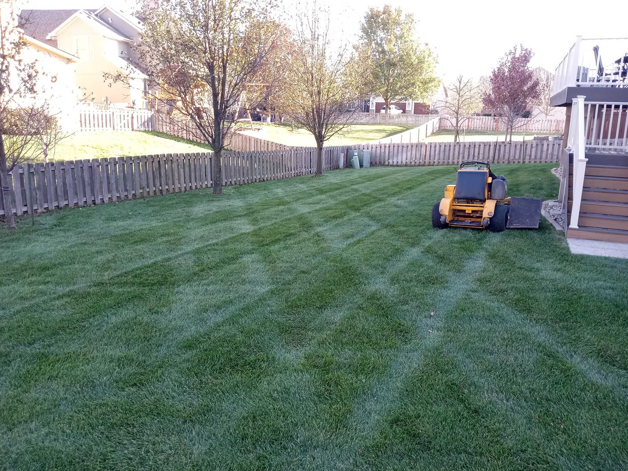 A neatly mowed suburban backyard with a yellow lawnmower, surrounded by wooden fences and trees, adjacent to a deck with stairs.