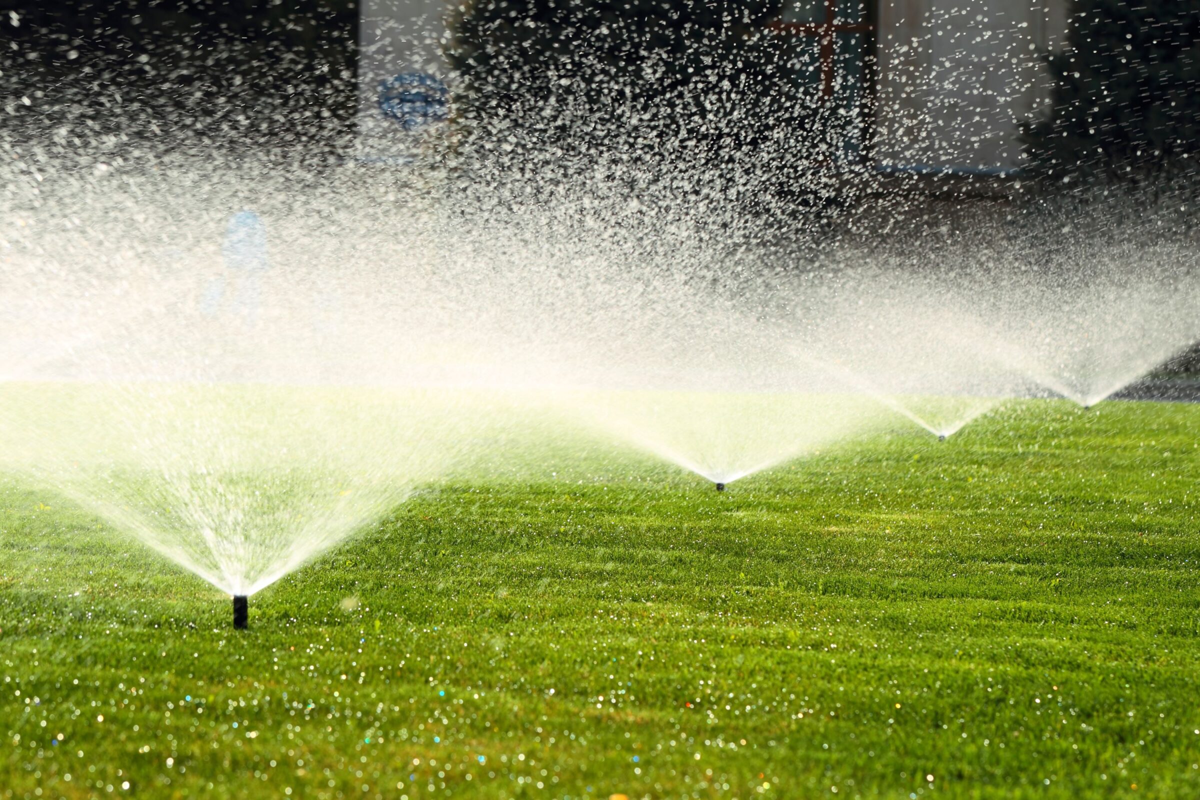 Green lawn with multiple sprinklers spraying water, creating a misty arc. The sun illuminates droplets, forming a shimmering effect on the grass.
