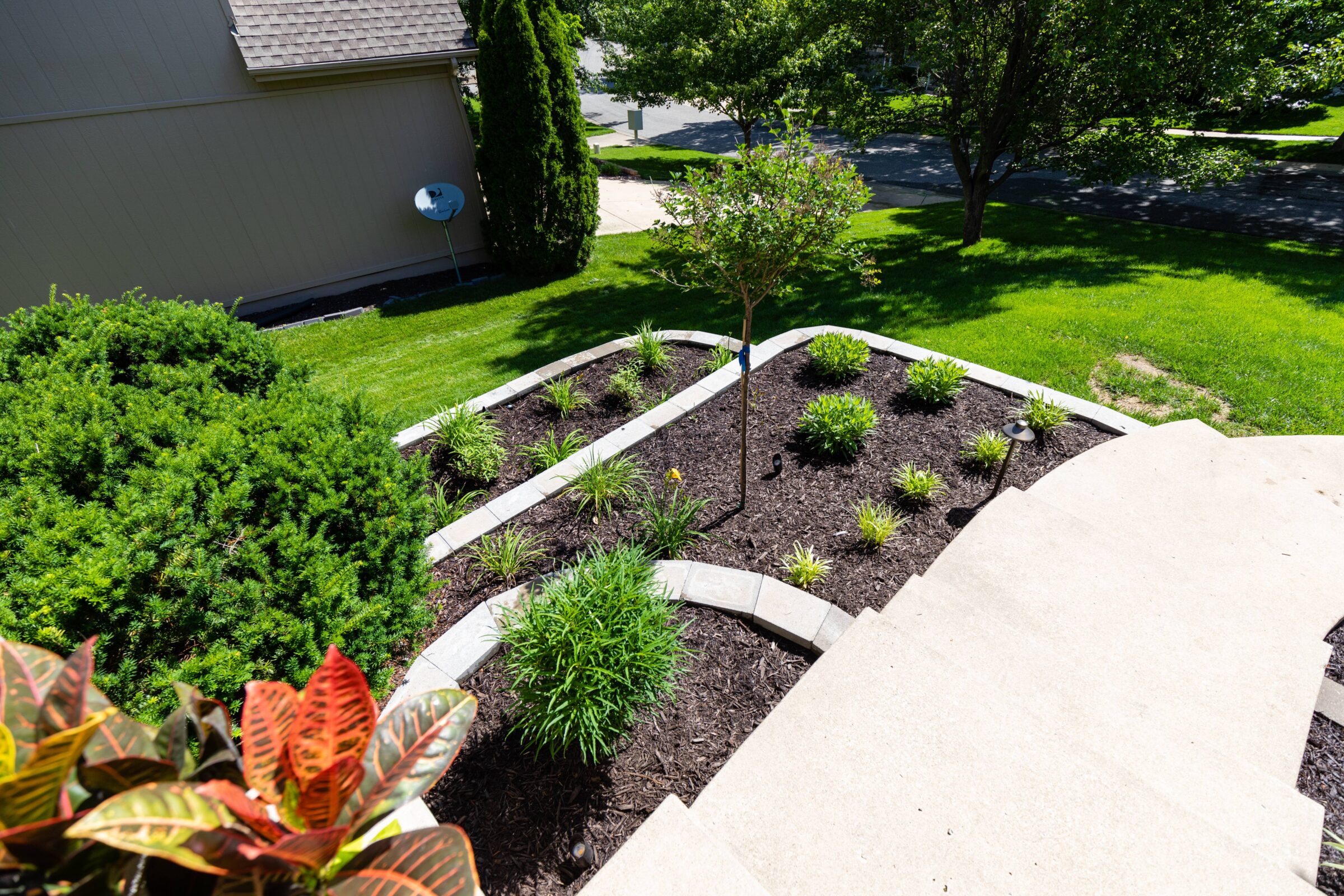 A landscaped garden with mulch, plants, and small tree, bordered by a house and stone path under bright daylight.