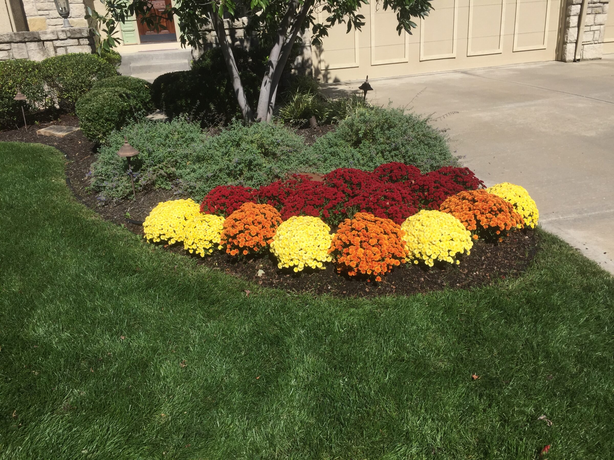 A well-maintained garden features vibrant red, yellow, and orange flowers, surrounded by lush green grass and a stone building background.