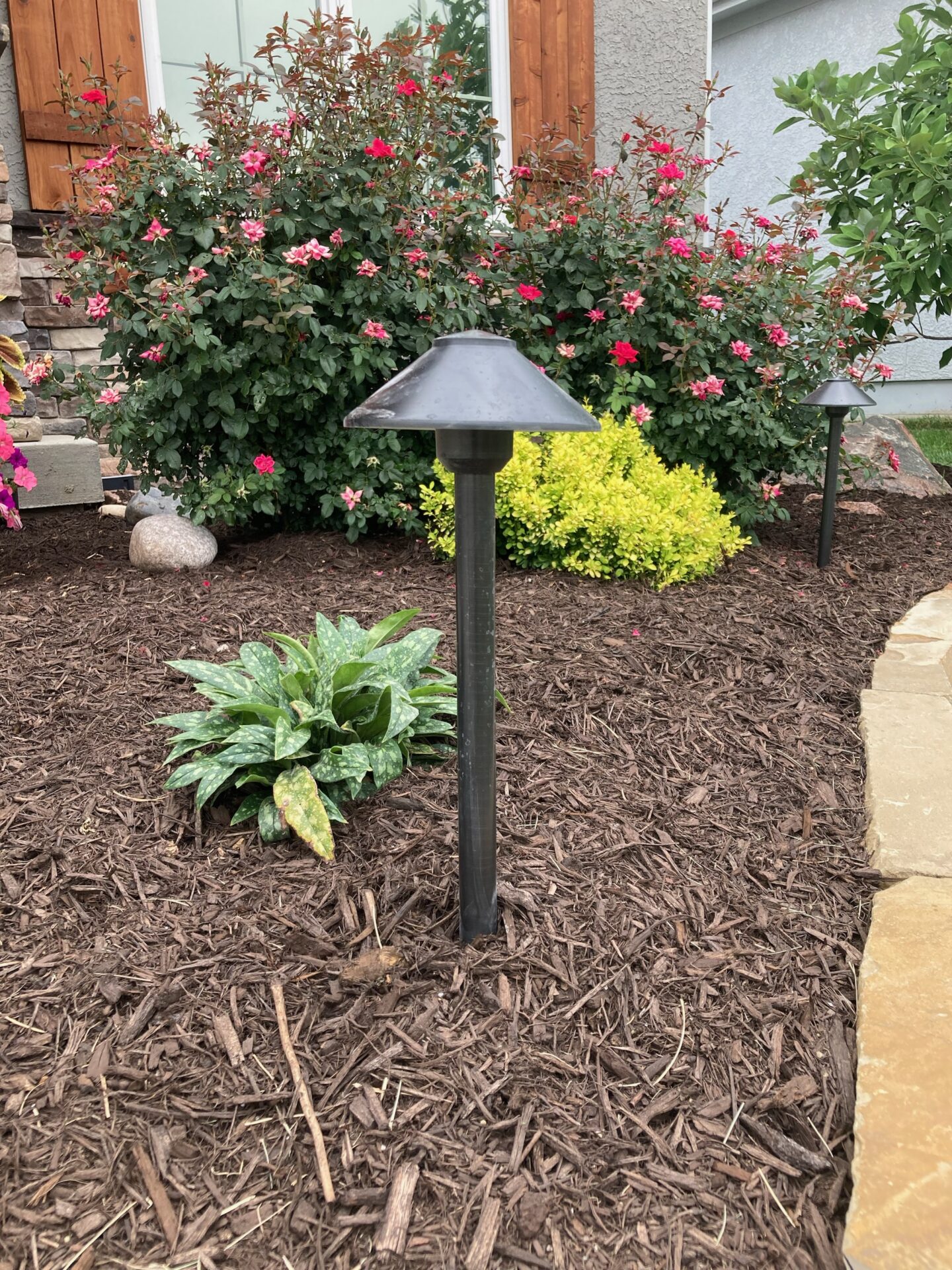 A garden with vibrant flowers, a small landscape light, and a stone path near a house with wooden shutters and brick accents.