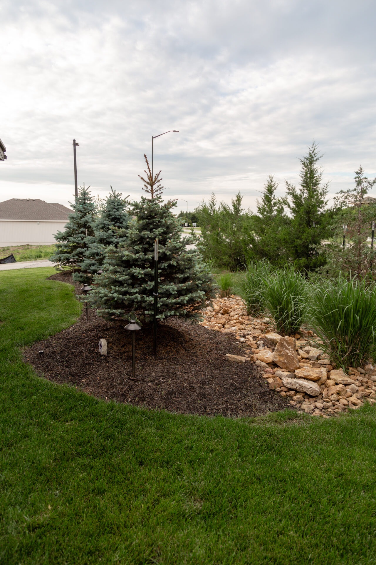 A landscaped garden with green grass, small coniferous trees, rocks, and pathway lights under a cloudy sky, near a residential area.