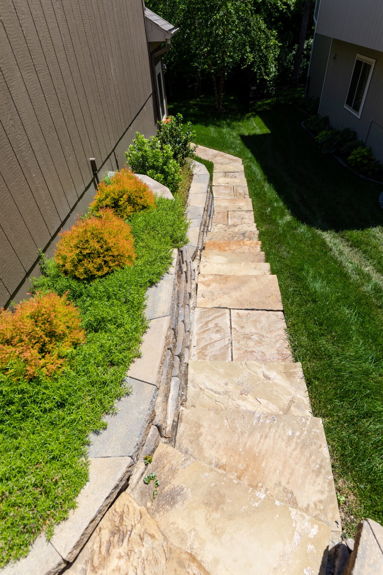 A narrow stone pathway with green shrubs runs alongside two buildings under bright sunlight, leading to a lush lawn and trees.