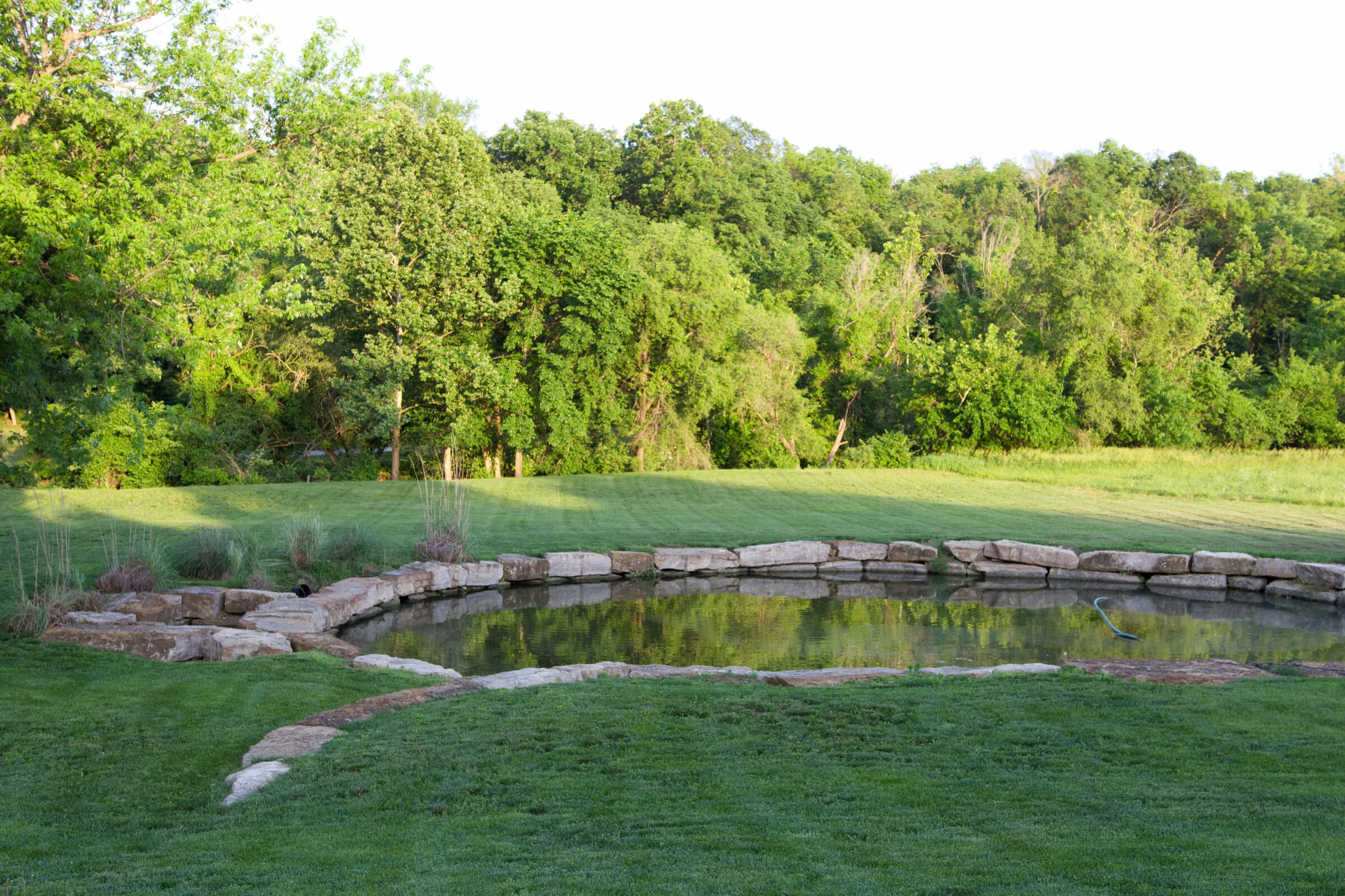 A tranquil garden scene with a small pond surrounded by rocks, lush green grass, and dense trees under a clear sky.