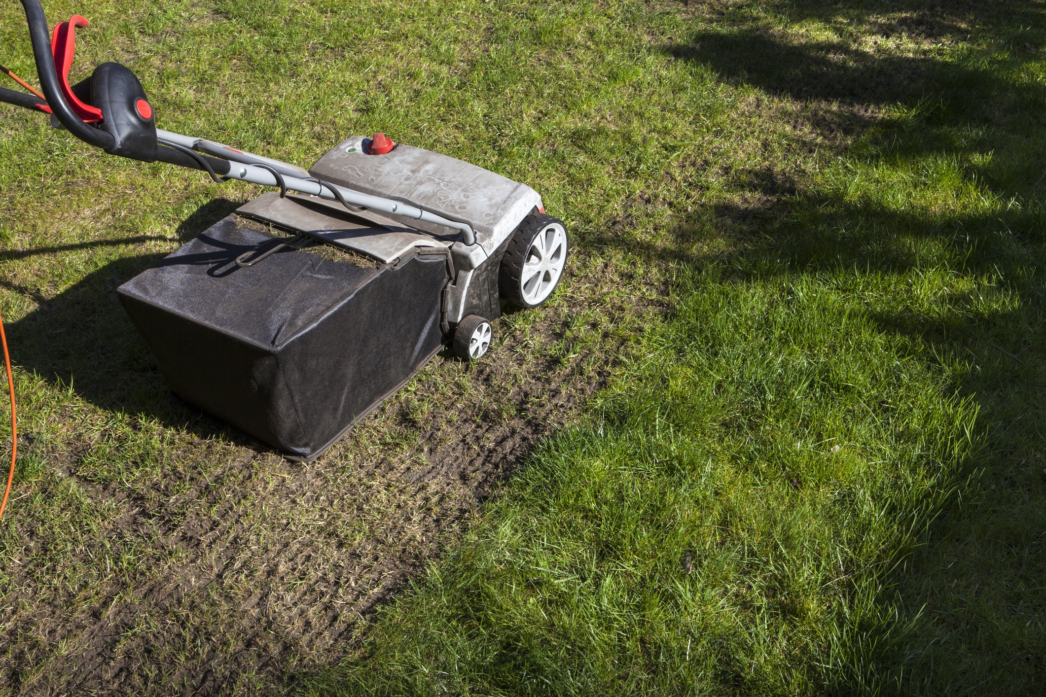 A lawn mower cutting grass, creating a neat path on a sunny day. Shadow of trees visible on the remaining uncut grass.