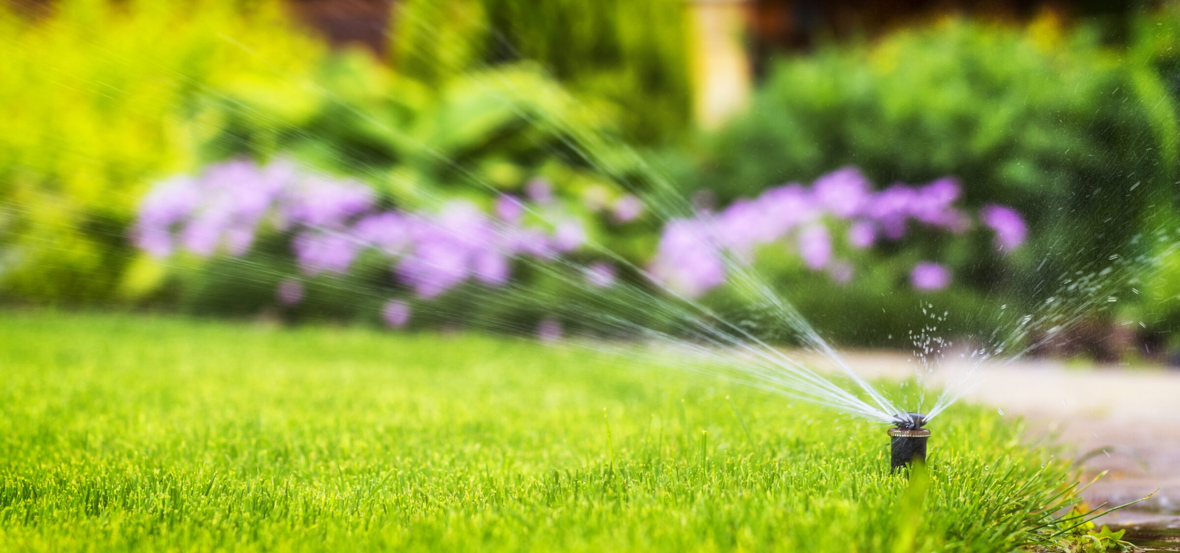 Lawn sprinkler watering vibrant green grass, with blurry colorful flowers in the background, creating a lush and lively garden scene.