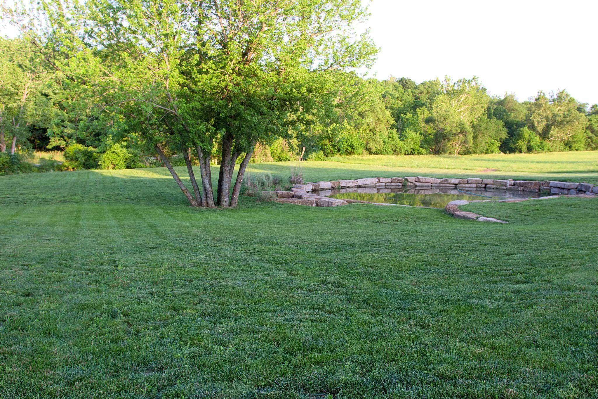 Backyard pond with stone border and lawn