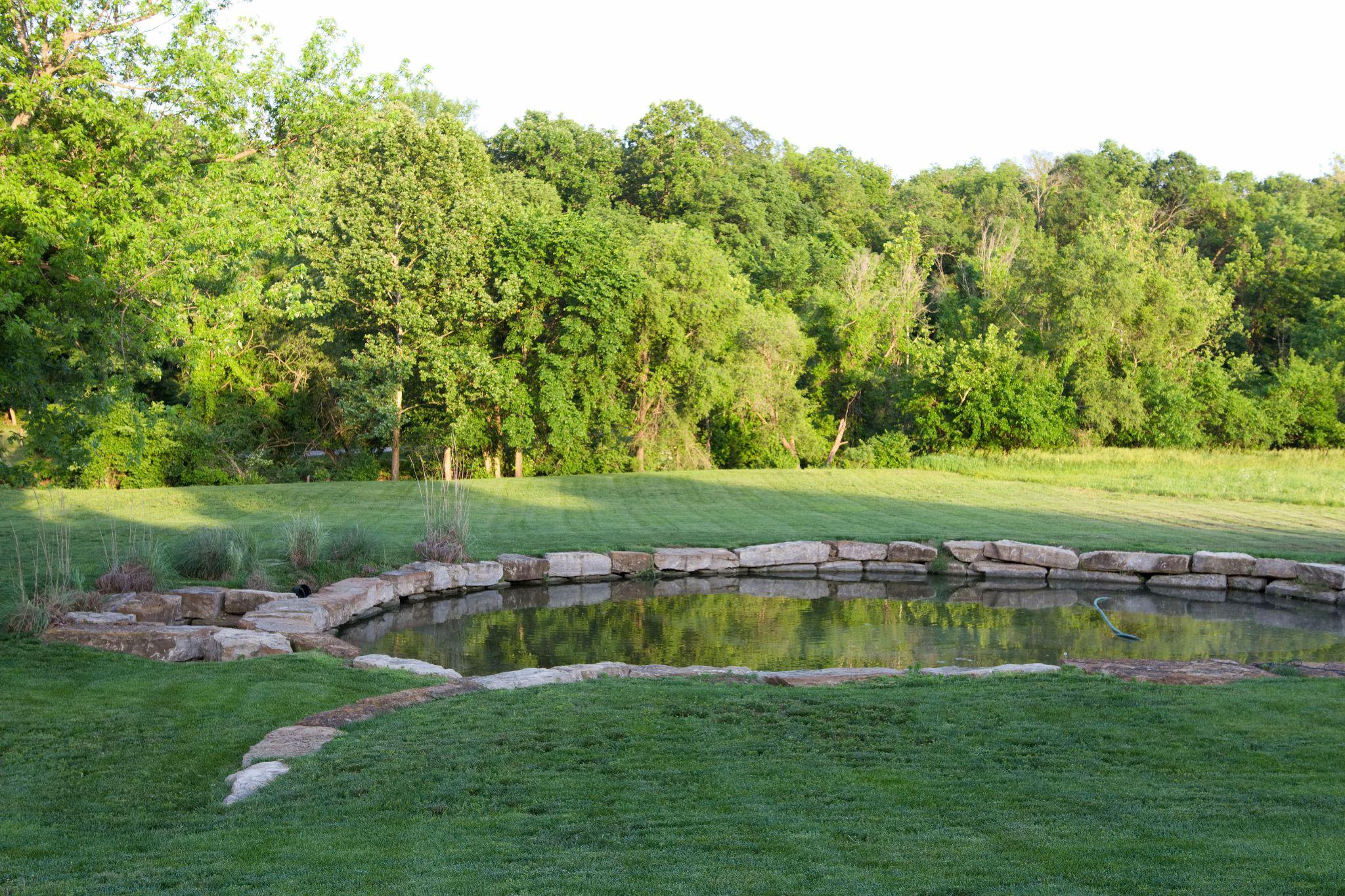 Backyard pond with stone edging and green lawn