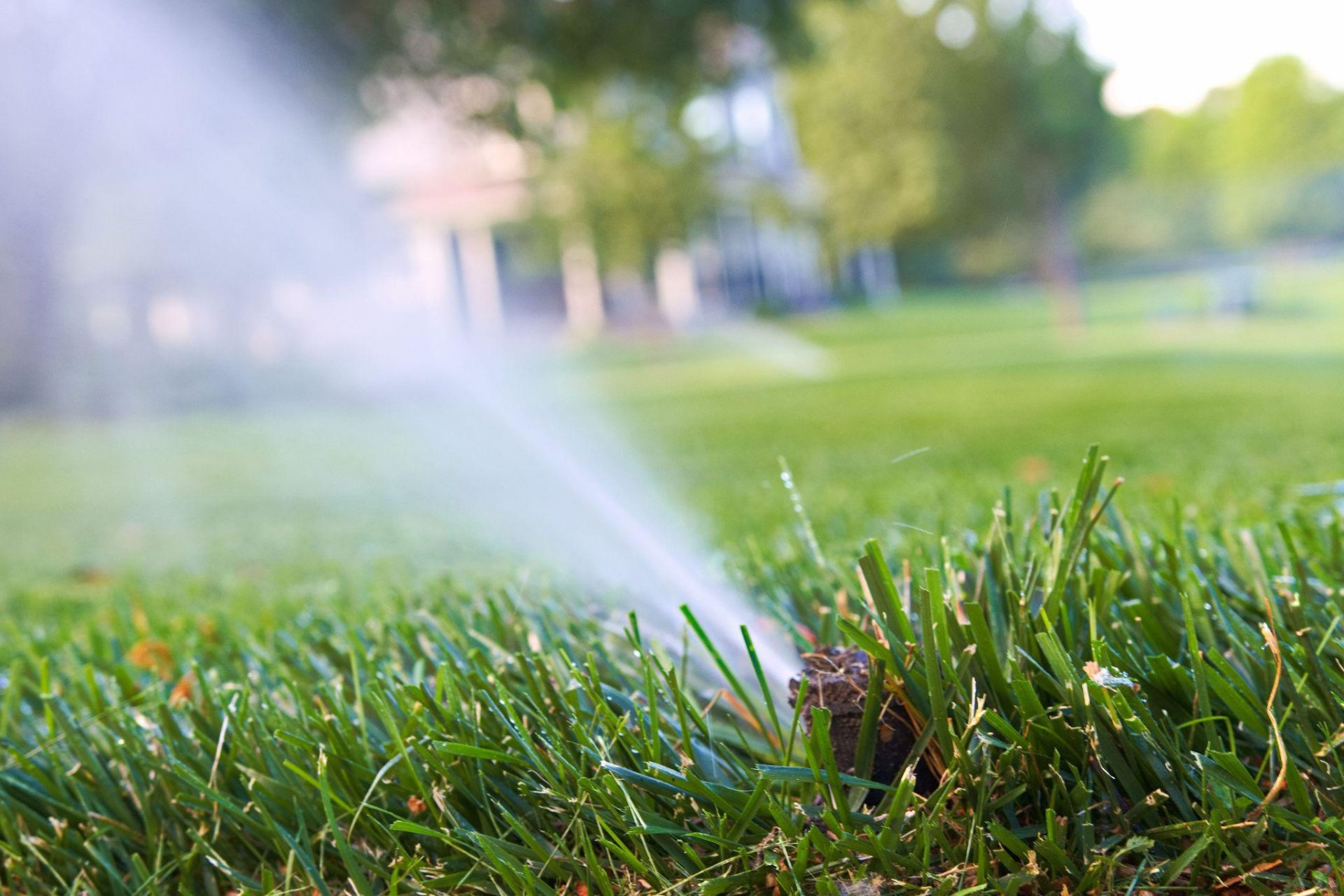 Close-up of irrigation sprinkler watering healthy green grass in a residential lawn