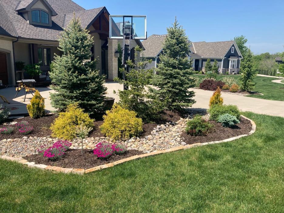 Front yard landscape bed with evergreens and river rock