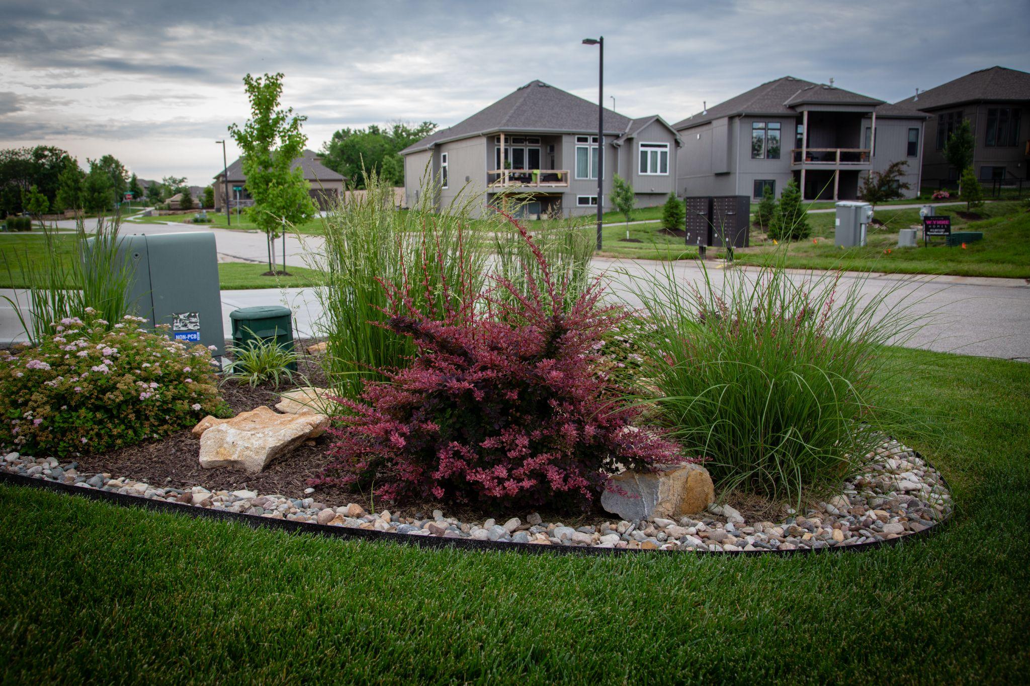 Neighborhood landscape bed with shrubs and ornamental grasses
